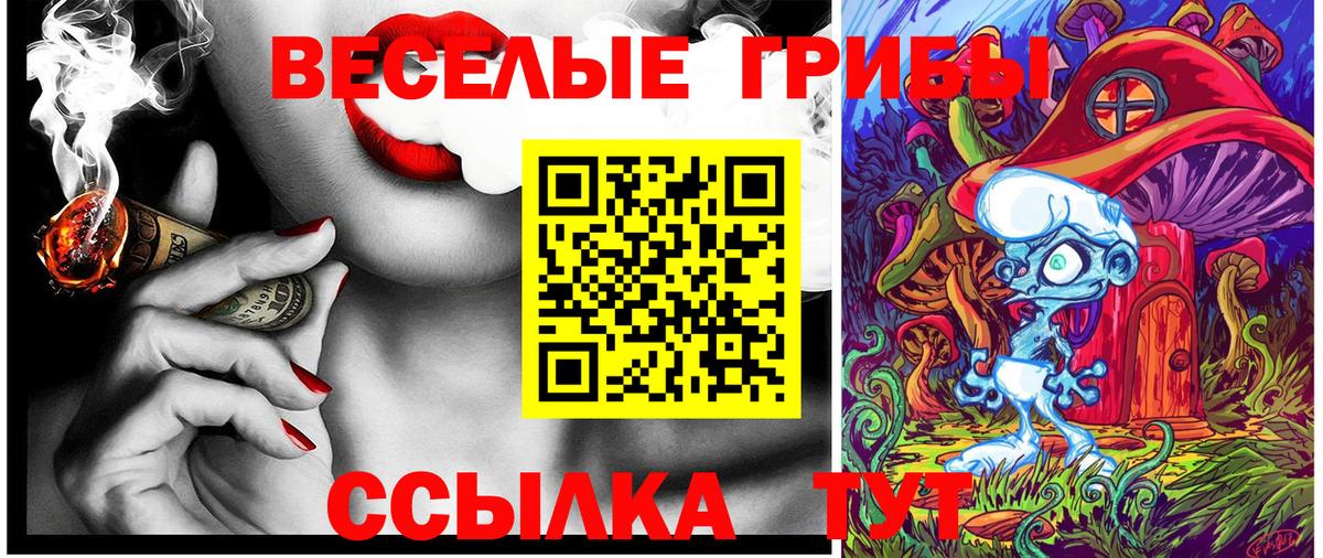 Галлюциногенные грибы MAGIC MUSHROOMS  Вход с VPN  Нерюнгри 